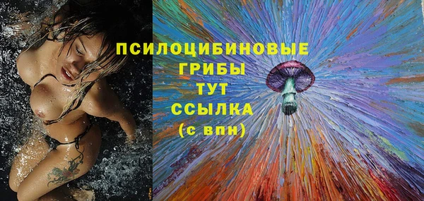 не бодяженный Алзамай
