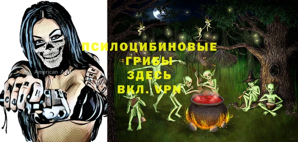 mix Протвино